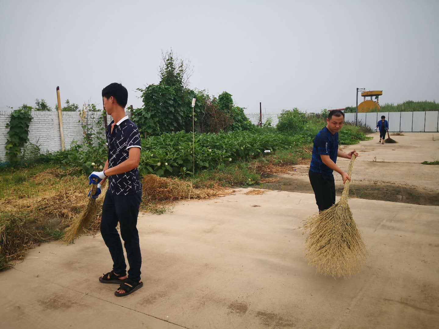 GԴR(dng)ֹÏS(chng)^(q)